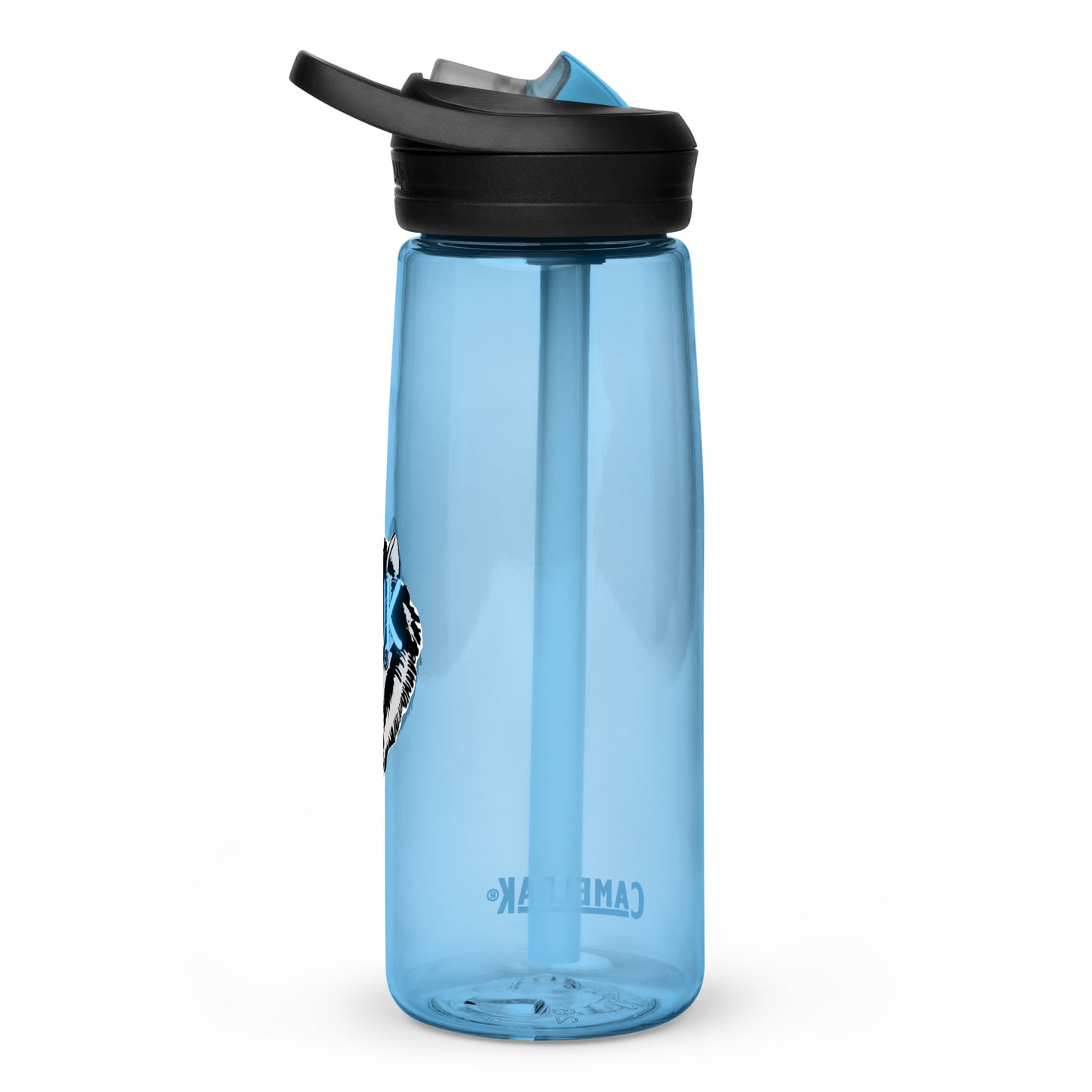 Sports water bottle