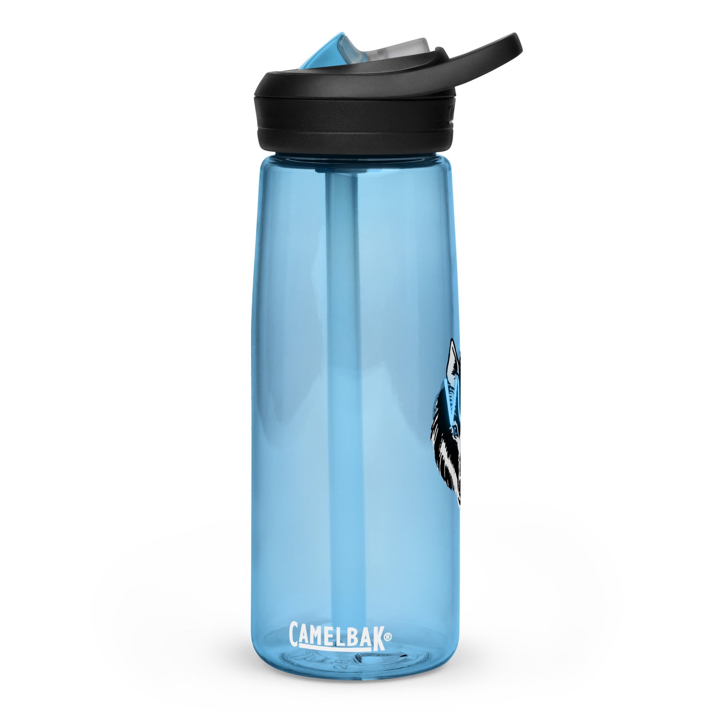 Sports water bottle