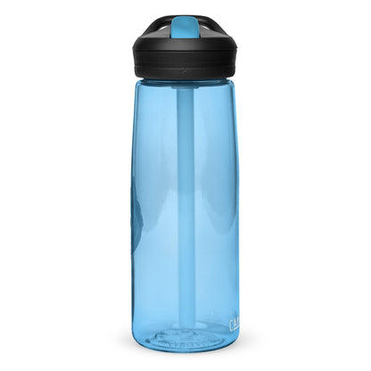 Sports water bottle