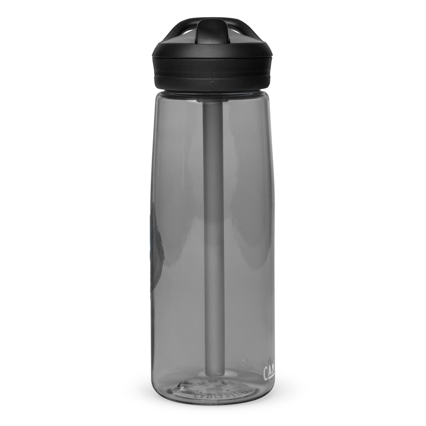 Sports water bottle