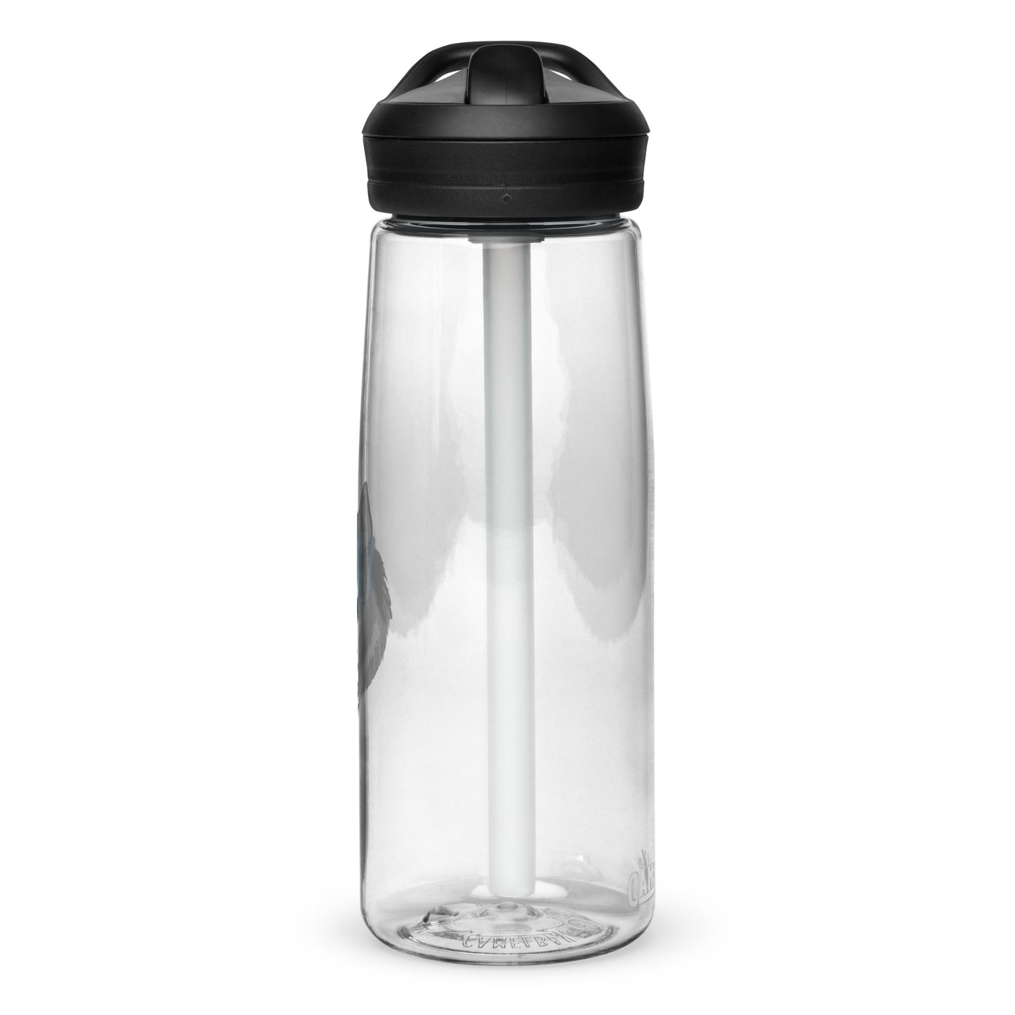 Sports water bottle