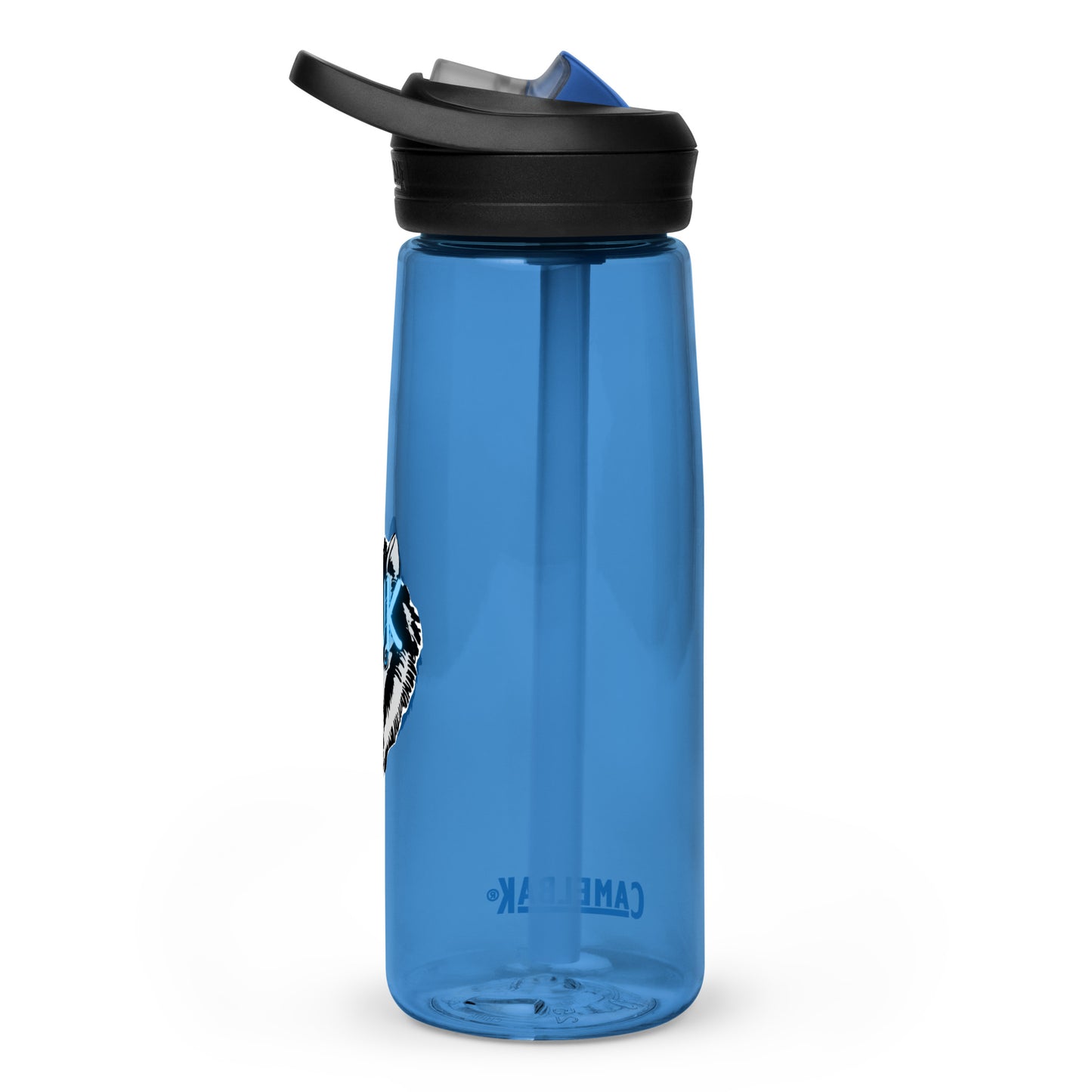 Sports water bottle