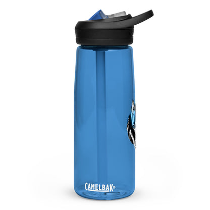 Sports water bottle